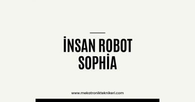 İNSAN ROBOT SOPHİA