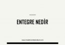 ENTEGRE NEDİR ?